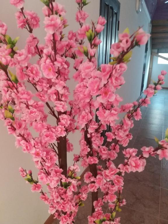 Guest House Arbat Чолпон-Ата Екстериор снимка